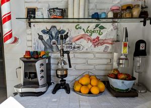 Leave my tits alone at Fabrika in Tirana