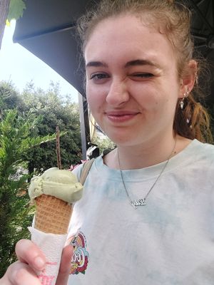 Love love love. Loads of vegan options, but my friend didn't like the spicy chocolate one. Too spicy. My ice cream was 200 lek and two scopes was 300 lek at Fabrika in Tirana