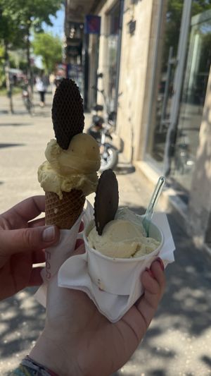   at Fabrika in Tirana