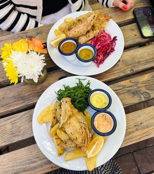   at The Architect in Cambridge