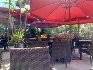 Schöne Terrassenplätze   at El Patio in Mallorca