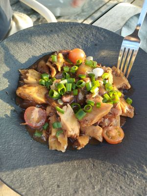 No chicken in fig sauce at Dok 14 in Cadzand