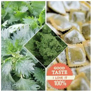 Ravioli alle ortiche at Pasta & Co in Santhia