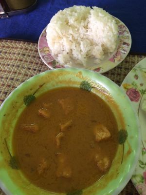 Paneer butter masala (not paneer but tofu) at Jasmine in Pakse