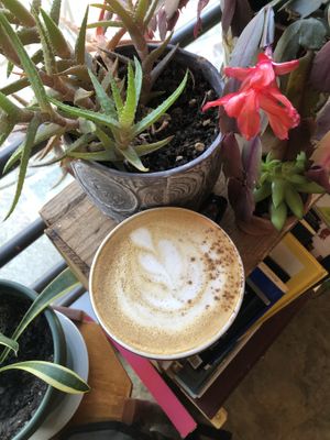   at Lit Coffee Roastery & Bakeshop in Bethlehem