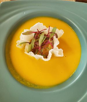 The Island at Taste of Beauty in Fountain Valley