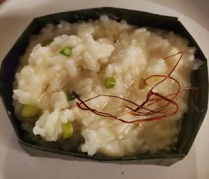 The Rainforest at Taste of Beauty in Fountain Valley