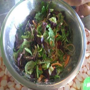 Thai salad at Greens Up - Montana Ave in Santa Monica