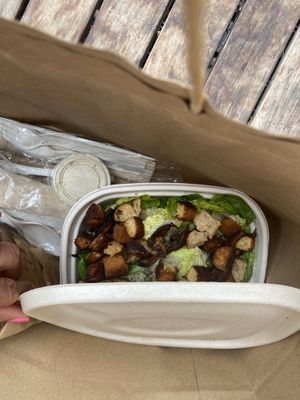 “I am dazzling” + tempeh! The lettuce was not cut. Small dressing on the side and the lettuce was brown! I can’t believe I paid $23.50 for this garbage!   at Cafe Gratitude in Newport Beach