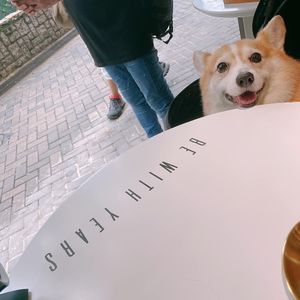 Outdoor seating available and pet-friendly at Be With Years in Kowloon