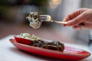 Stuffed vine leafs! Rice, lemon & mix of fresh herbs  wrapped with fresh vine leafs! Served with vegan yogurt with dill & Greek olive oil! Freshly made every day! at W Karytsi in Athens