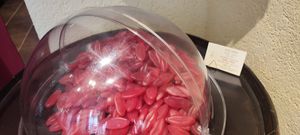 vegan "kiss lips" at Kremers Nascherlebnis in Cologne