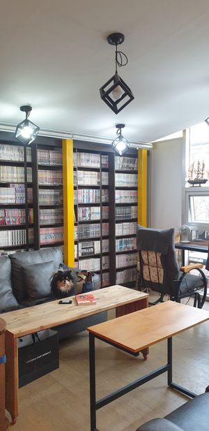 Dog friendly cozy Comic Book Café at Cafe Beanteum in Seoul