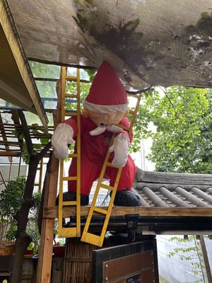   at Cafe Beanteum in Seoul