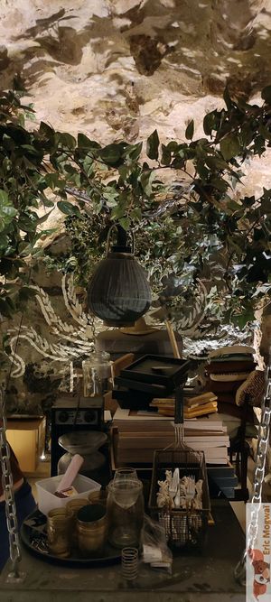 cellar seats at B.Better in Paris