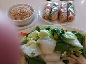 Mixed veggies and fresh spring rolls at Tofu House - Vegan Restaurant in Canley Heights