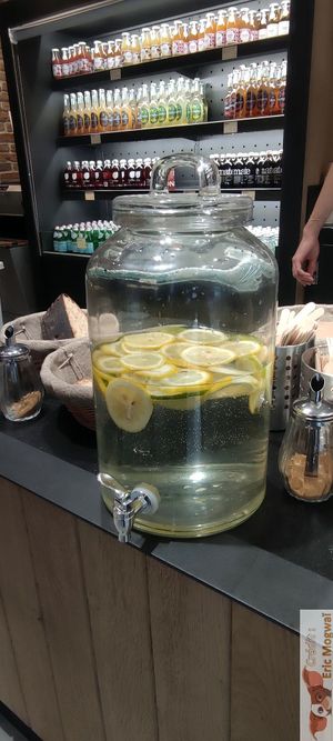 Free drinks at Land & Monkeys - Turenne in Paris