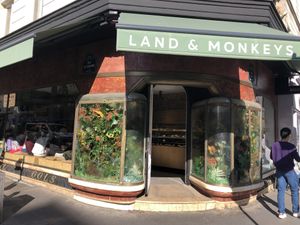 Bakery   at Land & Monkeys - Turenne in Paris
