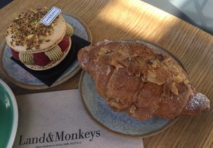   at Land & Monkeys - Turenne in Paris