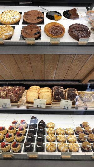   at Land & Monkeys - Turenne in Paris