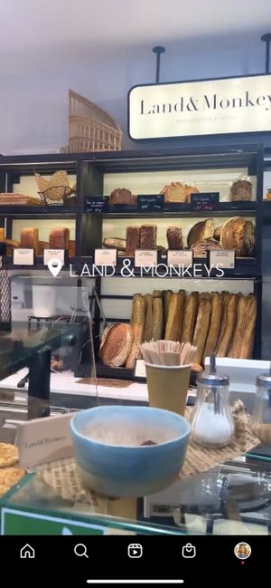  #Veganuary at Land & Monkeys - Turenne in Paris