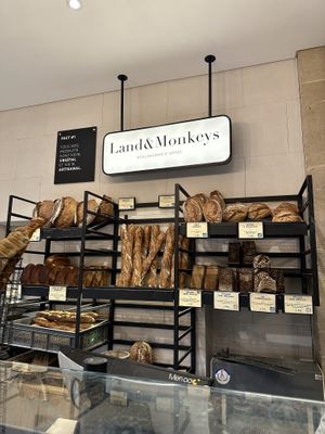   at Land & Monkeys - Turenne in Paris
