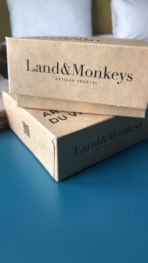   at Land & Monkeys - Turenne in Paris