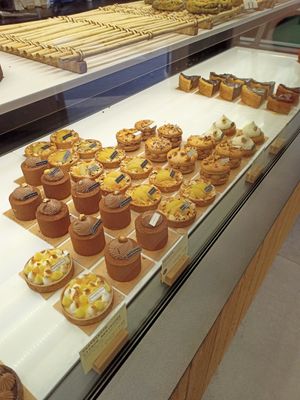 Amazing at Land & Monkeys - Turenne in Paris