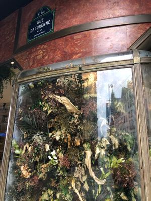 Beautiful decor  at Land & Monkeys - Turenne in Paris