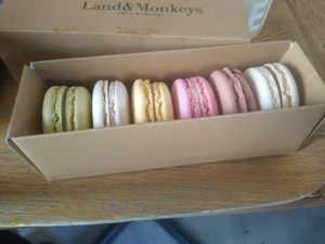 Macarons at Land & Monkeys - Turenne in Paris