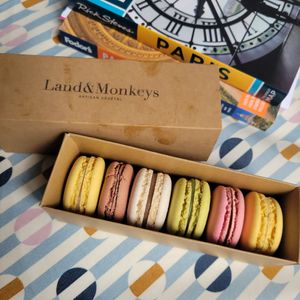 Macaroons at Land & Monkeys - Turenne in Paris