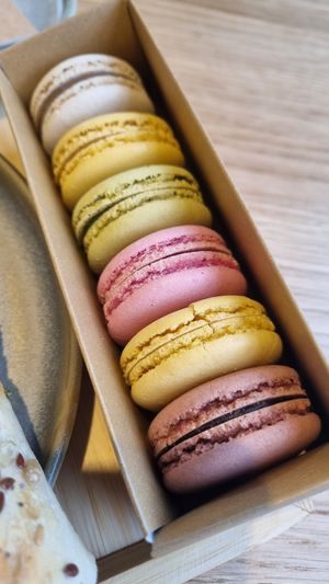  at Land & Monkeys - Turenne in Paris