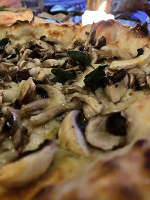 Vegan Funghi pizza - mushrooms, vegan mozzarella, confit garlic, truffle oil  at Jarrah in Hillarys