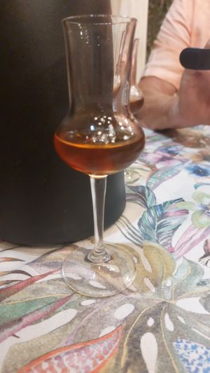 Homemade olive rakia at Tasting House Arsana in Omis