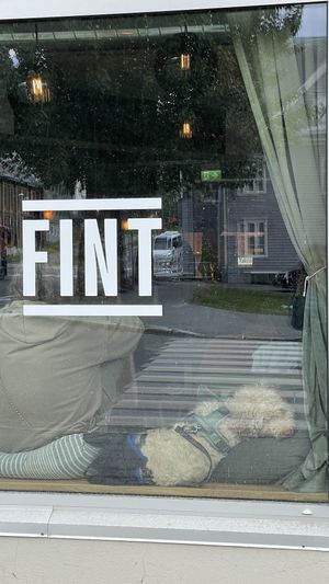   at FINT Kafé & Bar in Tromsoe