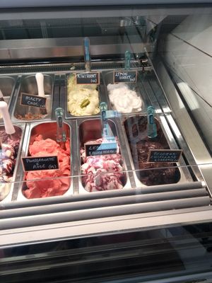 Vegan selection at Caliendo's Gelato in North West London