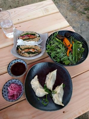 veggie gyoza, mushroom onigirazu (rice nori wrap), and local veggies (part of veggie noodles not pictured, omit egg) at Setsunai Noodle Bar in Lopez Island