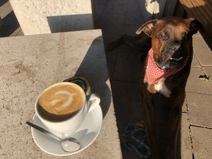   at Simply Coffee in Duisburg