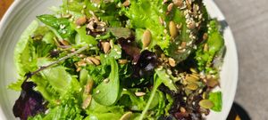 Greens and seeds at Garden Grille Cafe in Pawtucket