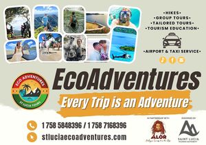 ALOR works in Partnership with Eco Adventures  at Alor in Soufriere