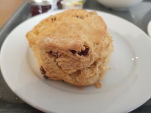 Vegan fruit scone at Clock Tower Cafe in Morpeth