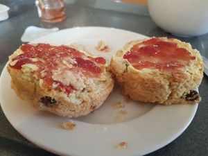 Vegan fruit scone with vegan jam and butter at Clock Tower Cafe in Morpeth