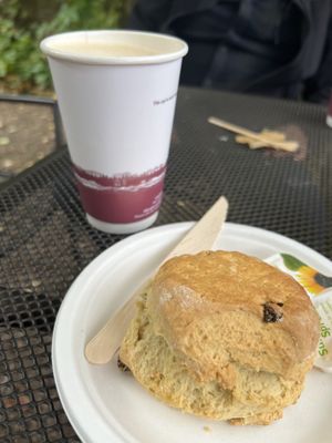 Scone, oat milk latte  at Clock Tower Cafe in Morpeth