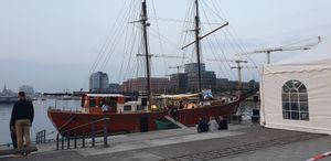 Die Freedom at Freedom in Kiel