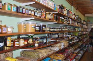 Spreads and Pastas at Well Being in South East London