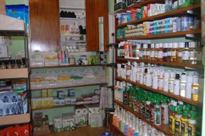 Toiletries at Well Being in South East London