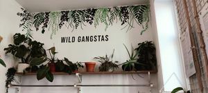 Deco at THE WILD LAB in Brussels