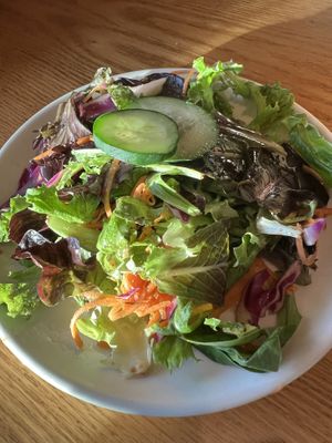 Green salad with options of vegan dressing- citrus or onion   at Mountain Brauhaus in Gardiner