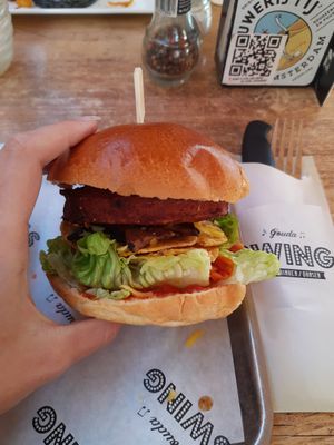 Burger close up at Swing in Gouda