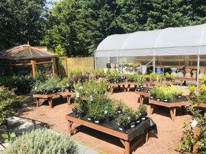 Garden centre at Wild Root in Southport